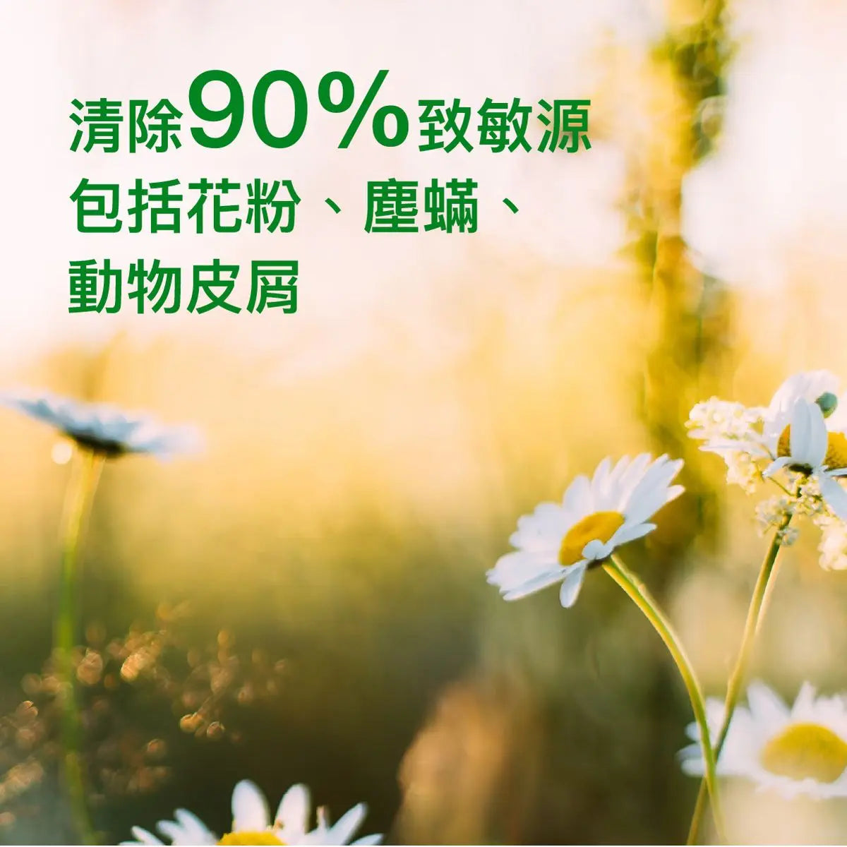 	滴露噴霧能有效清除花粉、塵蟎等致敏源，減少過敏反應。Dettol spray removes allergens like pollen and dust mites.